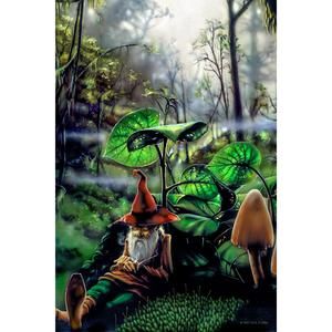 Respite Gnome Heady Art Print Mini Tapestry 30x45" by Sunshine Joy